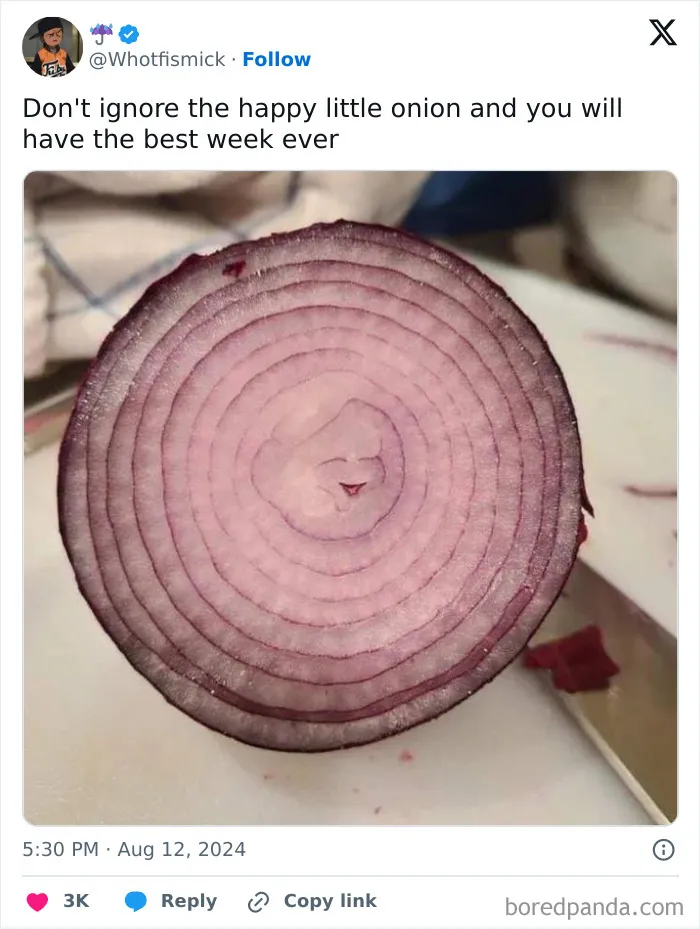 Funny-Random-Relatable-Memes
