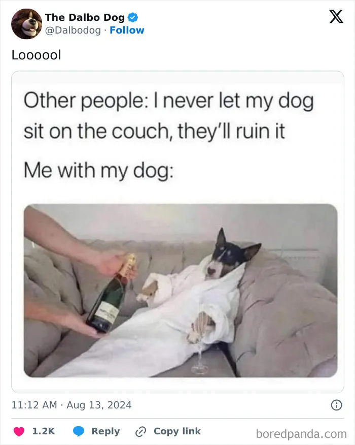 50 Of The Most Hilarious, Cute And Wholesome Posts On X About Dogs