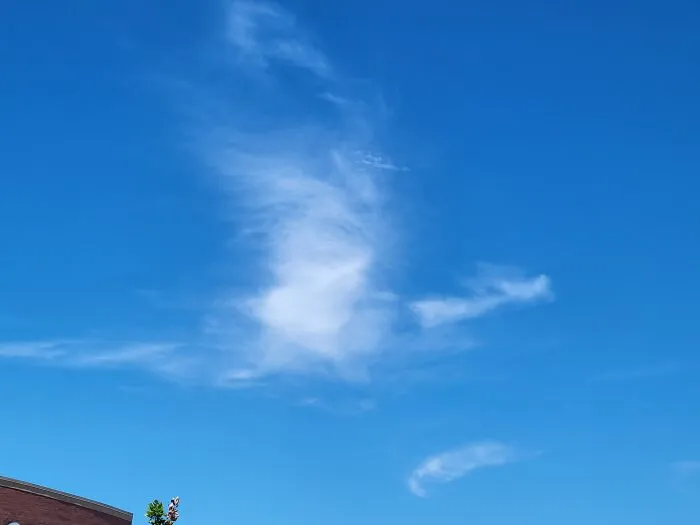 Cloud Dragon