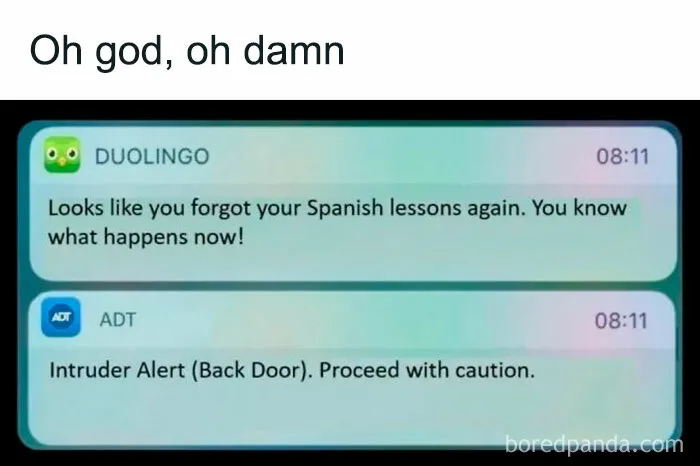 50 Funny Memes For Those Who Love A Good Giggle
