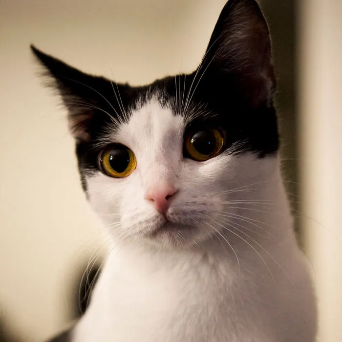 50 Of The Most Interesting Facts Ever Posted On “Today I Learned”