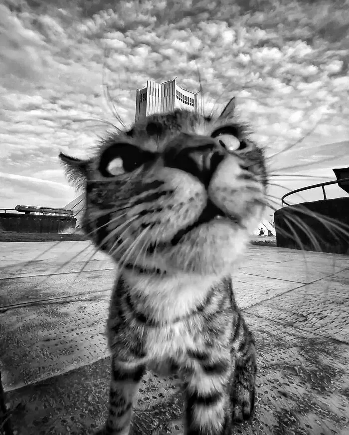 Here Are 40 Of The Most Interesting Images Selected By This Instagram Page (New Pics)