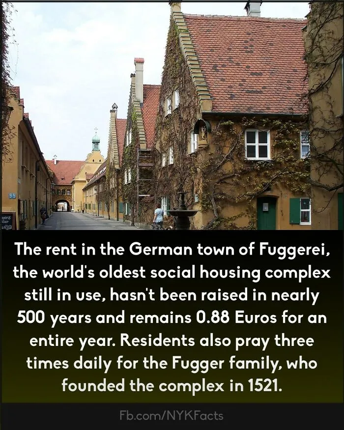 ‘Now You Know’: 50 Random Facts That Are Too Interesting To Scroll Past