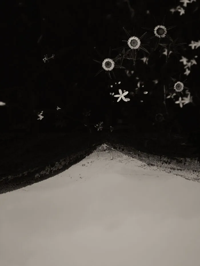 Díptic 128 From The Series Gaia © Jaume Llorens