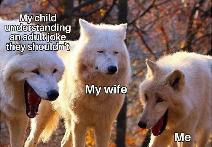 50 Of The Funniest Fatherhood Memes Shared By This Online Community Of Dads