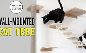 I Made This Wall-Mounted Cat Tree Out Of Reclaimed Wood To Surprise A Friend