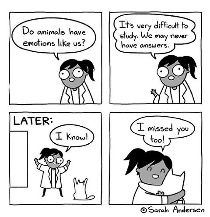 26 Of The Newest Comics About Life As An Introvert By Sarah Andersen