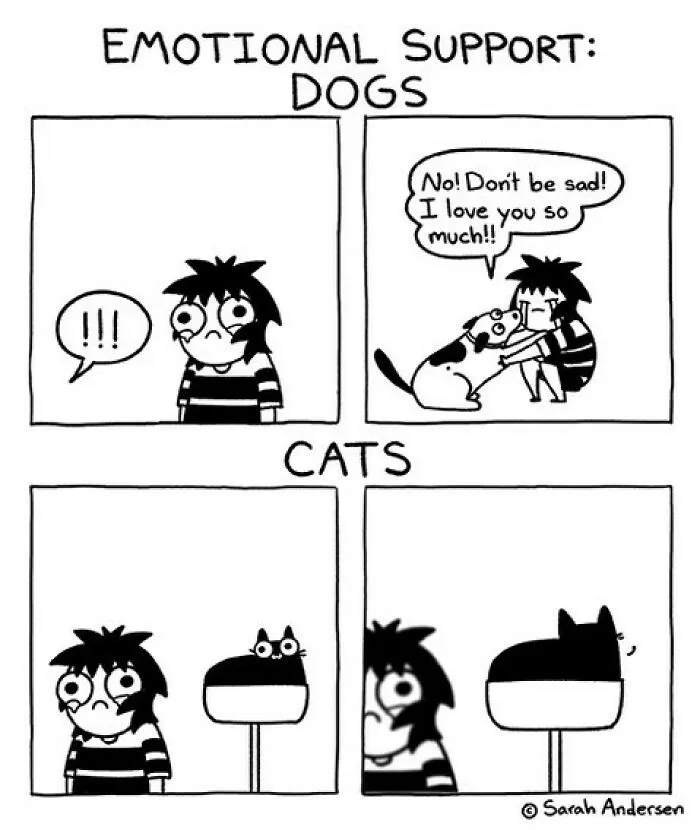 26 Of The Newest Comics About Life As An Introvert By Sarah Andersen