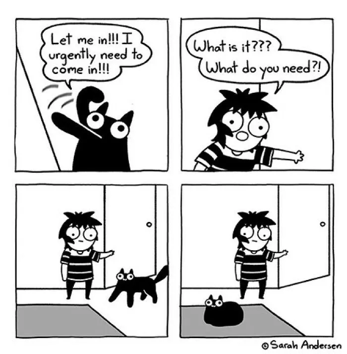 26 Of The Newest Comics About Life As An Introvert By Sarah Andersen