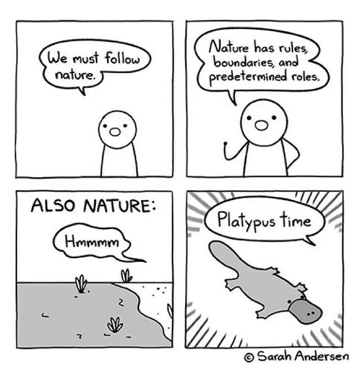 26 Of The Newest Comics About Life As An Introvert By Sarah Andersen