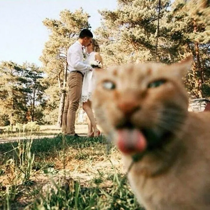 Here Are 40 Of The Most Interesting Images Selected By This Instagram Page (New Pics)