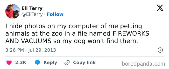 50 Of The Most Hilarious, Cute And Wholesome Posts On X About Dogs