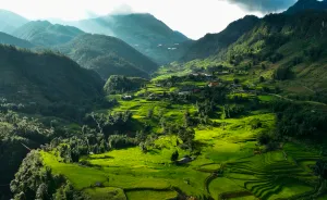 The Enchanting Palette Of Sa Pa's Autumn