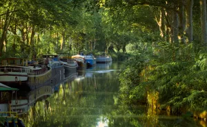 Toulouse's Tranquil Magic - A Month Of Serenity With France's Pink Sheep