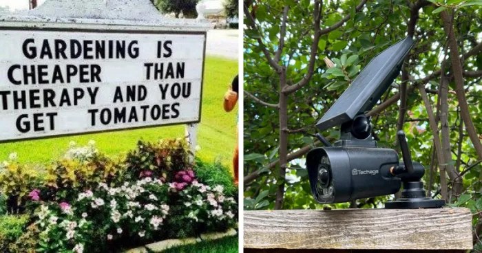 20 Unconventional Finds For Your Garden To Make Your Neighbors Jealous