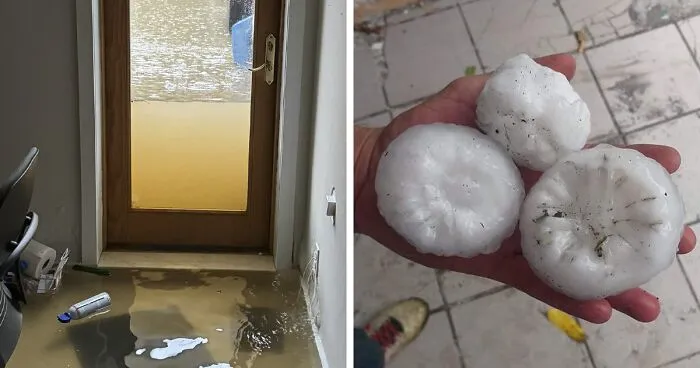 33 Fotos salvajes de la madre Naturaleza haciendo su voluntad (nuevas imágenes)