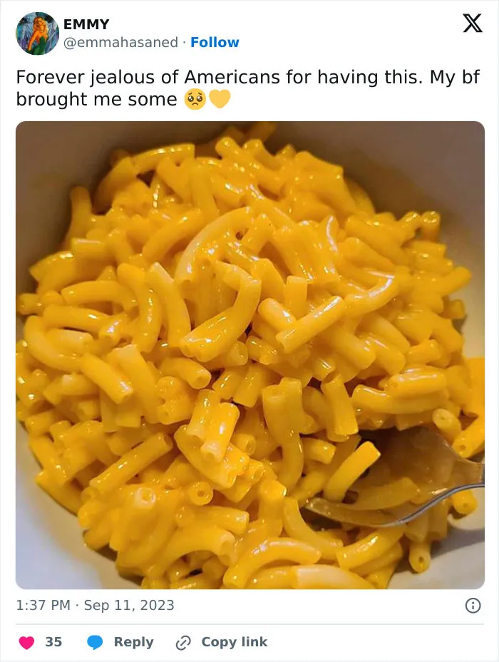 35 Things Americans Didn’t Know The Rest Of The World Envies Them For