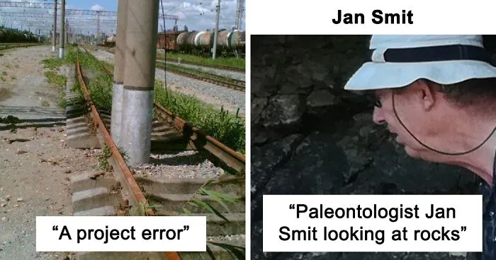 40 Times People Found Such Hilarious Gems On Wikipedia, They Just Had To Share (New Pics)