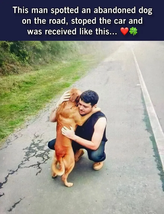 50 Uplifting Posts That Prove We Don’t Deserve Animals, As Shared On This FB Page