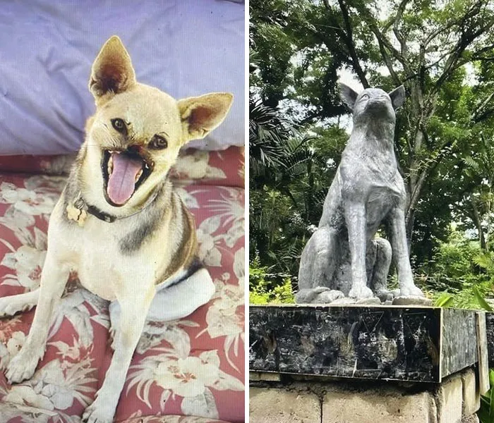 50 Uplifting Posts That Prove We Don’t Deserve Animals, As Shared On This FB Page