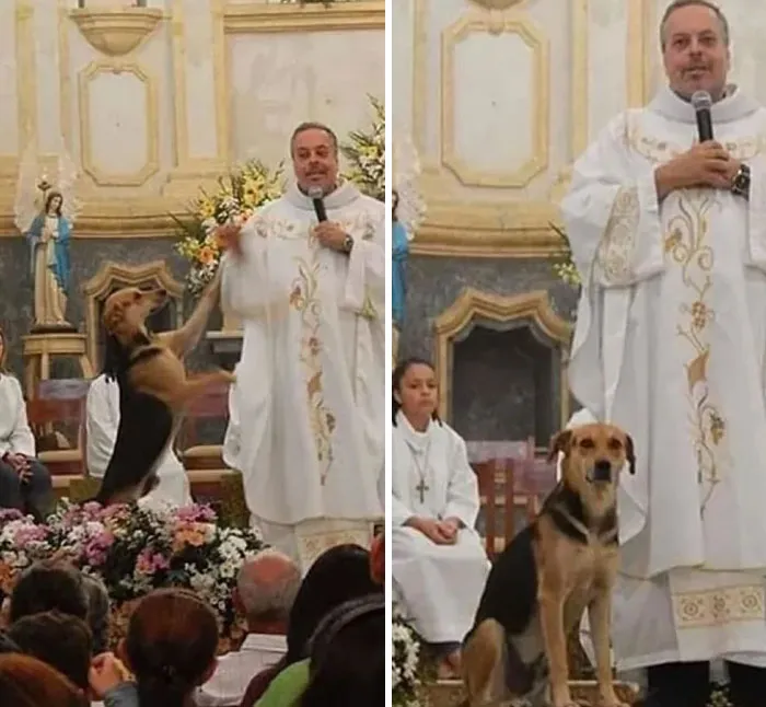 23 Historias reconfortantes que demuestran que no nos merecemos a los animales