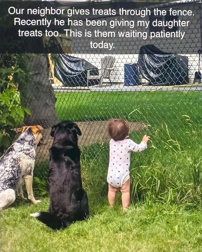 50 Uplifting Posts That Prove We Don’t Deserve Animals, As Shared On This FB Page