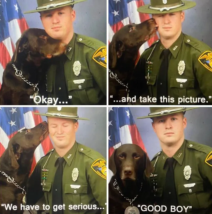 50 Uplifting Posts That Prove We Don’t Deserve Animals, As Shared On This FB Page