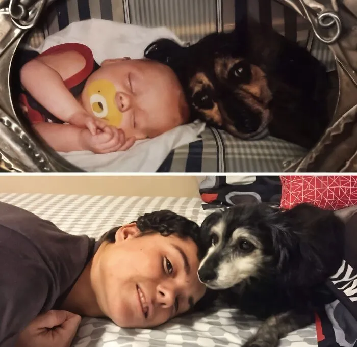 23 Historias reconfortantes que demuestran que no nos merecemos a los animales
