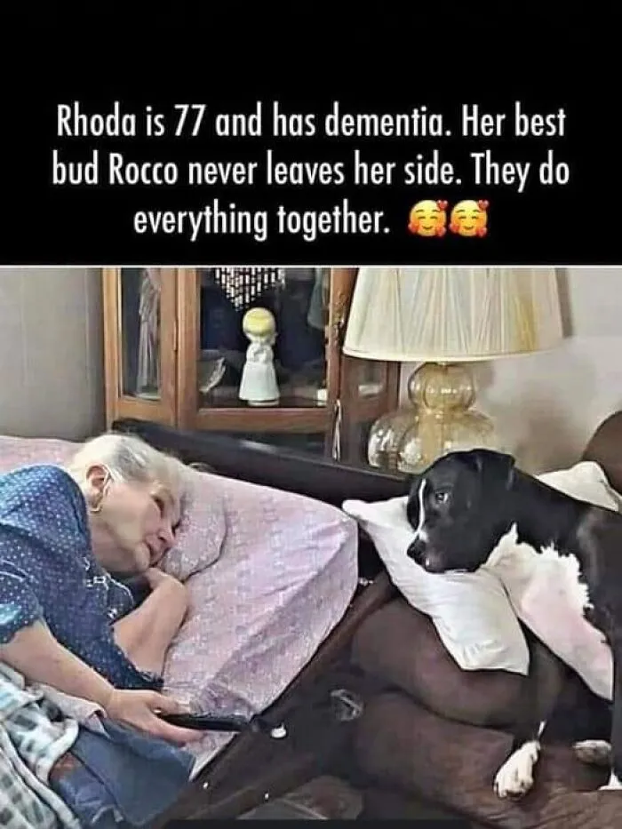 50 Uplifting Posts That Prove We Don’t Deserve Animals, As Shared On This FB Page