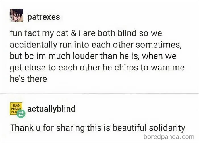 If You Are Having A Bad Day, These 50 Wholesome Posts May Cheer You Up
