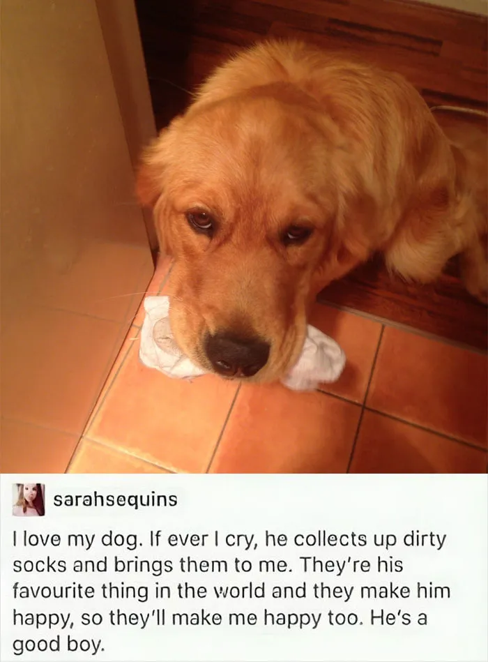 If You Are Having A Bad Day, These 50 Wholesome Posts May Cheer You Up
