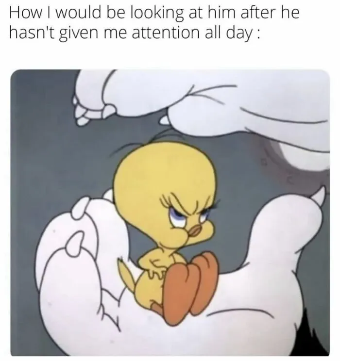 Angry Tweety bird meme showing irritation after no attention in relationship