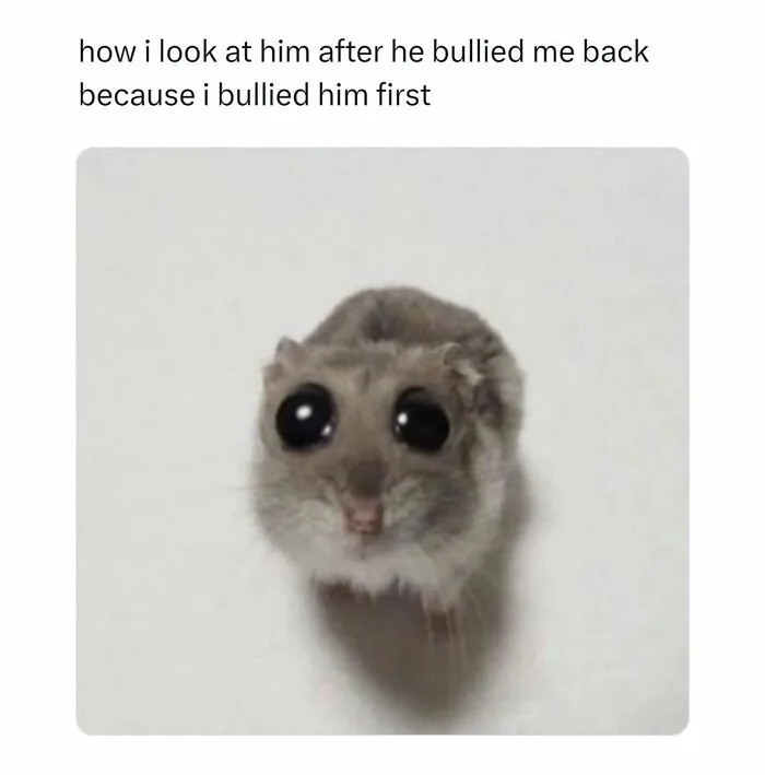 Hamster with big eyes meme about bullying in relationships