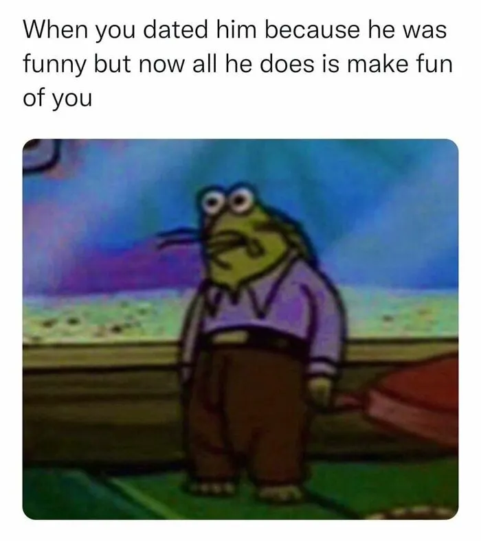 Funny relationship meme with cartoon frog looking disappointed about dating someone funny