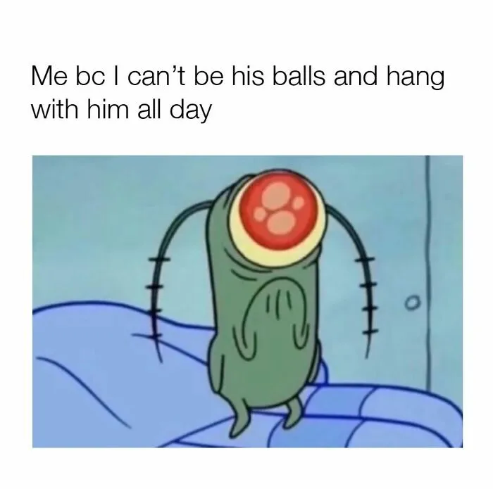 Cartoon meme about relationship longing with sad animated character