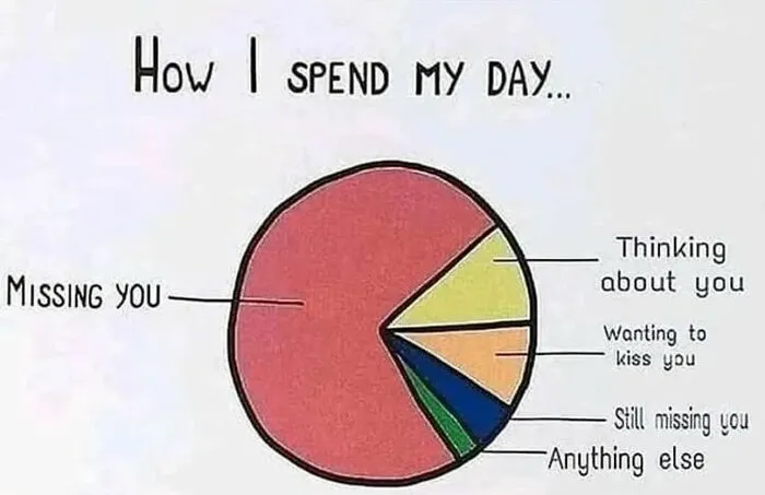 Relationship meme showing pie chart of how I spend my day missing you