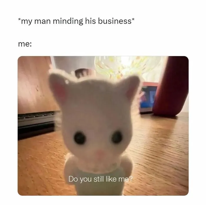 Funny relationship meme with cute cat asking do you still like me
