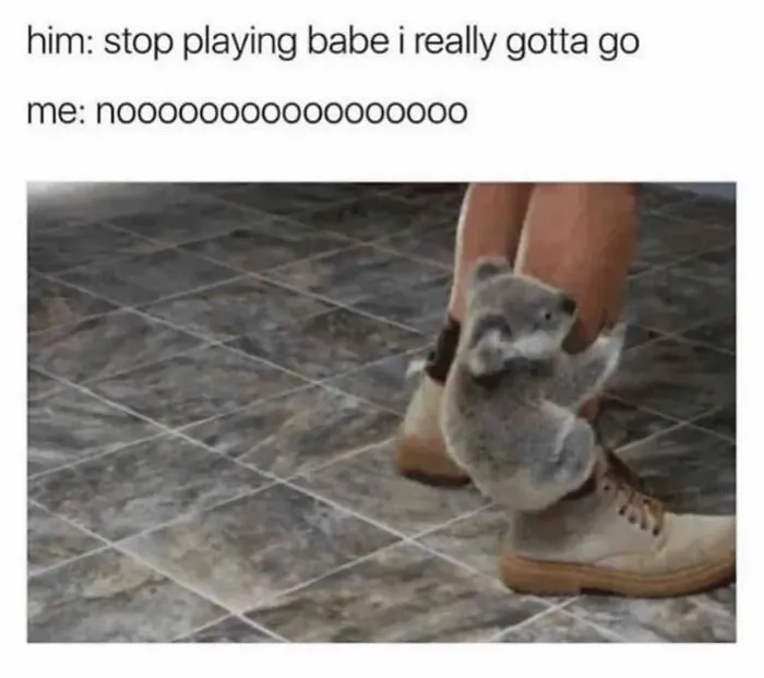 Cute koala clinging to shoe in relationship meme about not wanting partner to leave