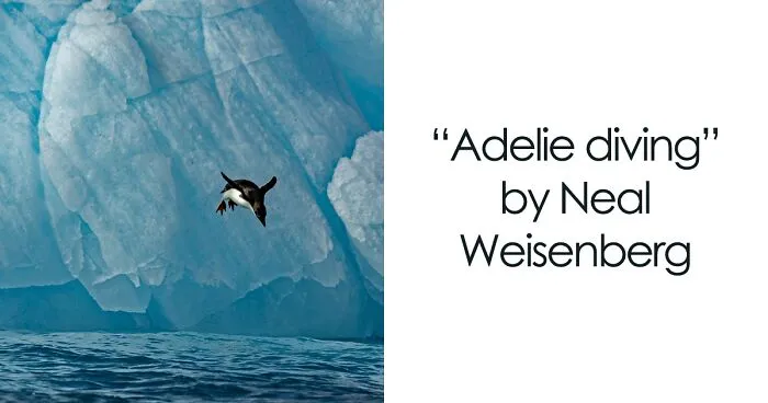 If You’re A Wildlife Enthusiast, You Might Love These 30 Photos Shared By One Eyeland