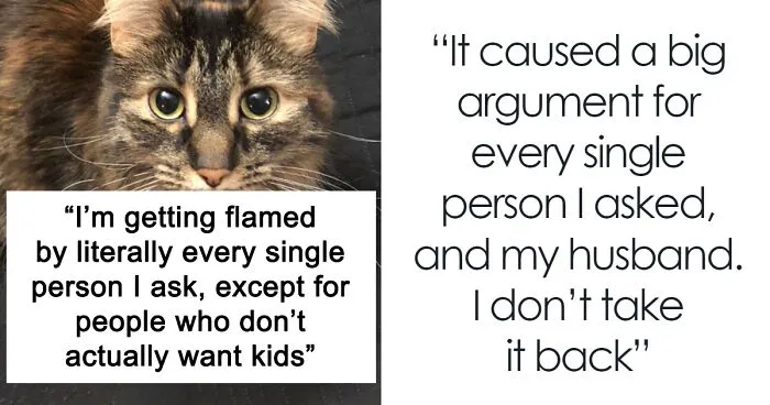 Cat Vs. Kids: Woman Seeks Opinions After Horrifying Her Husband With Confession