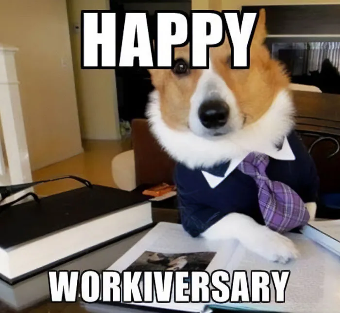 “Corgiversary”
