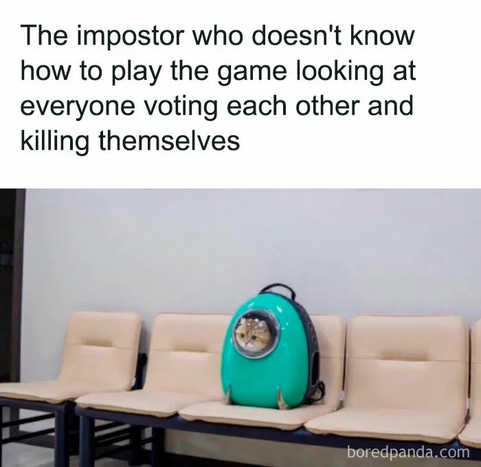 Clueless Impostor