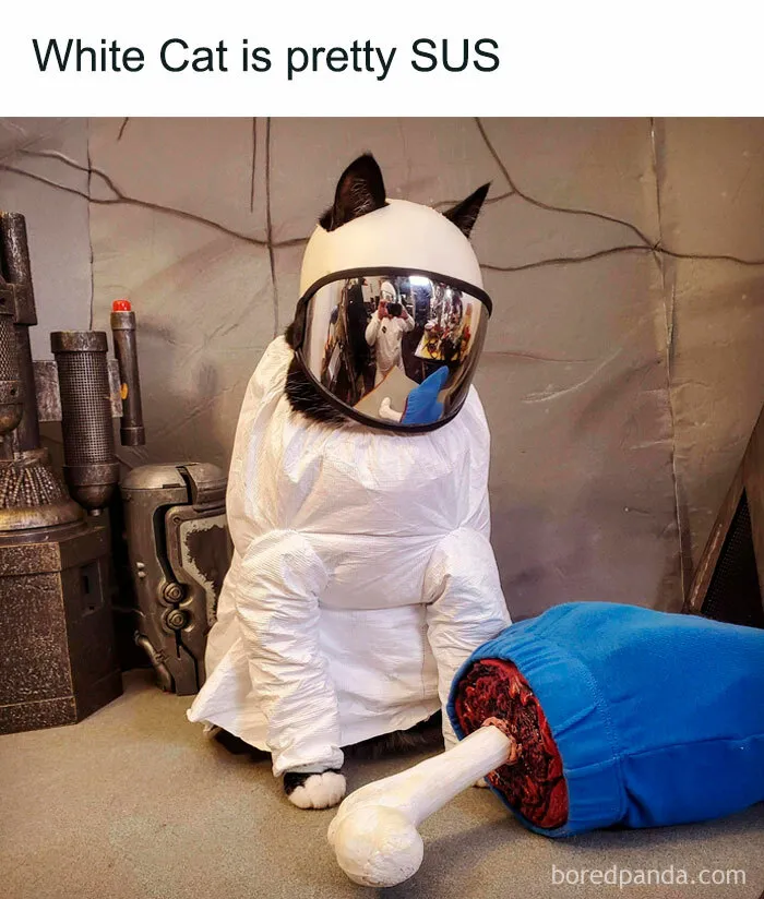Fluffy Crewmate