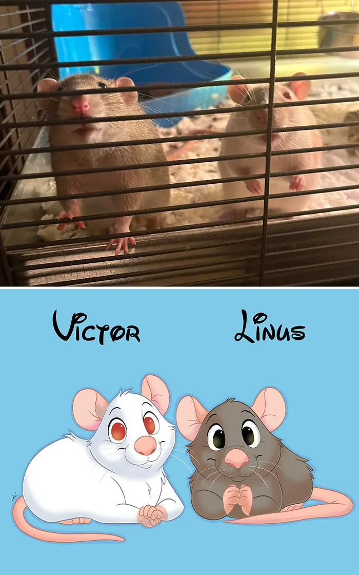 22 Adorable Pet Portraits In Disney Style By This Artist (New Pics)