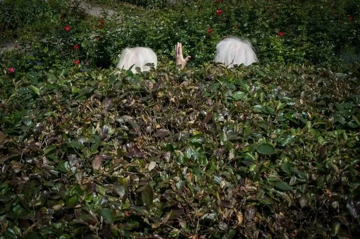 Fun Accidental Moments Captured By This Street Photographer (50 New Pics)