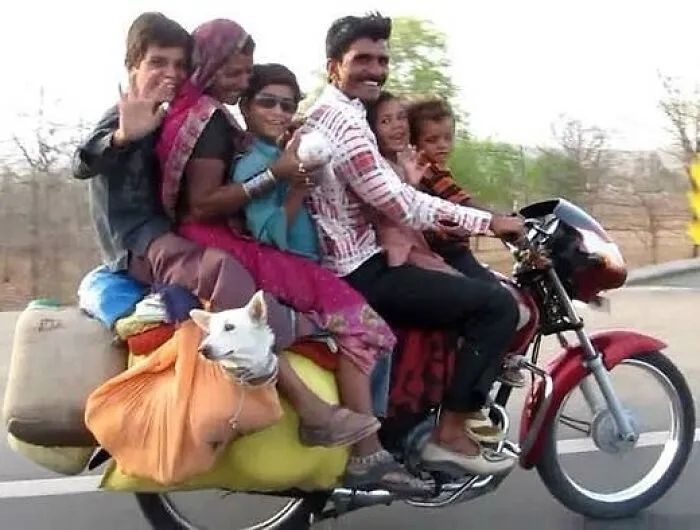 50 Random, Funny, And Unhinged Images That Show Off The Bizarre Side Of India