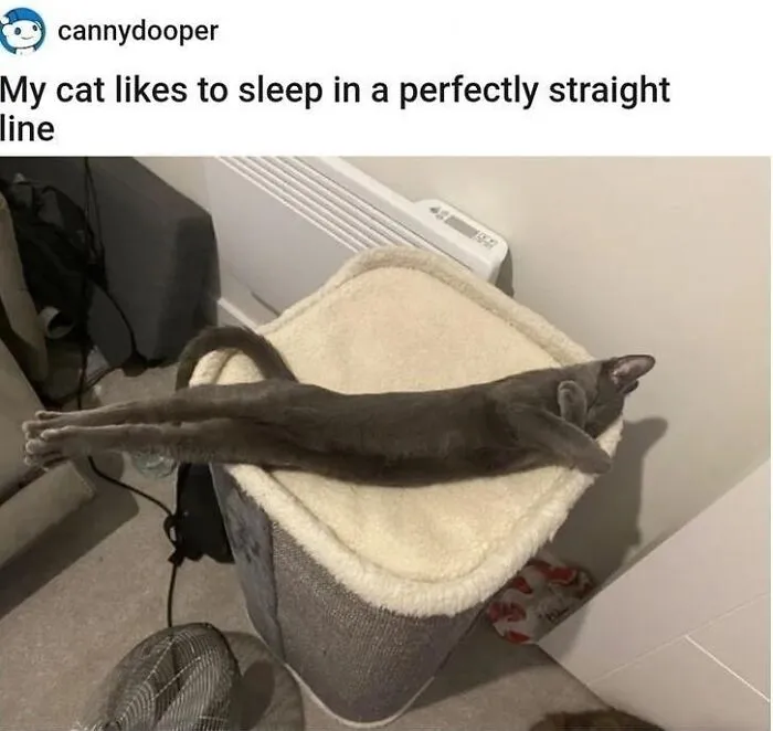 This Instagram Account Posts Hilariously Chaotic Pictures, And These 50 Are Just Too Much