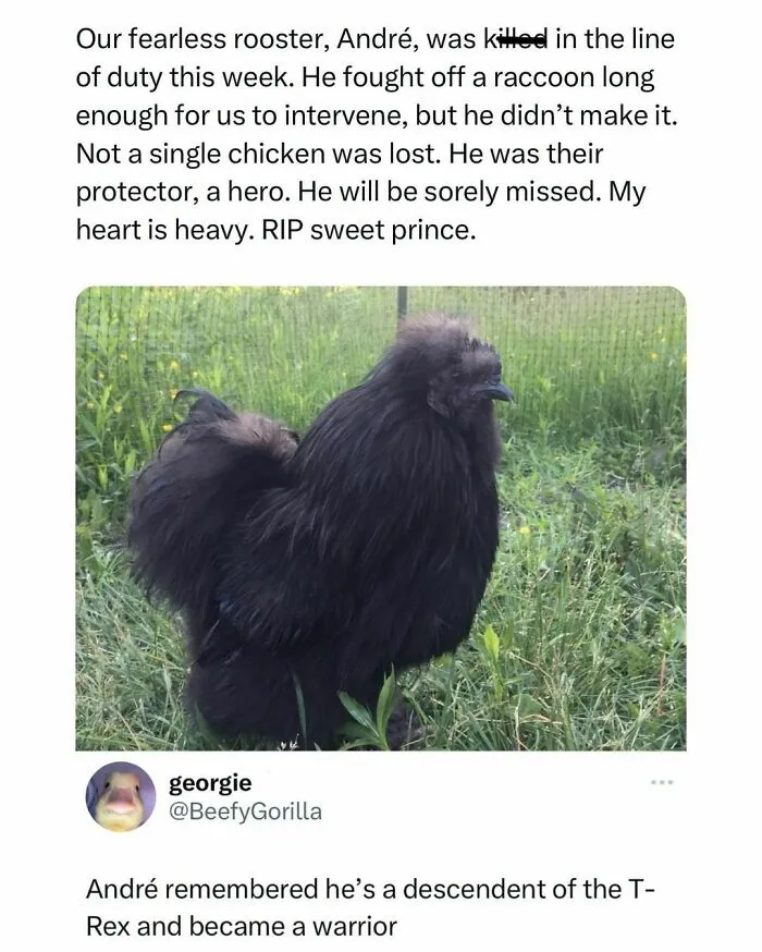 50 Funny And Relatable Posts That May Be The Most Entertaining To Men