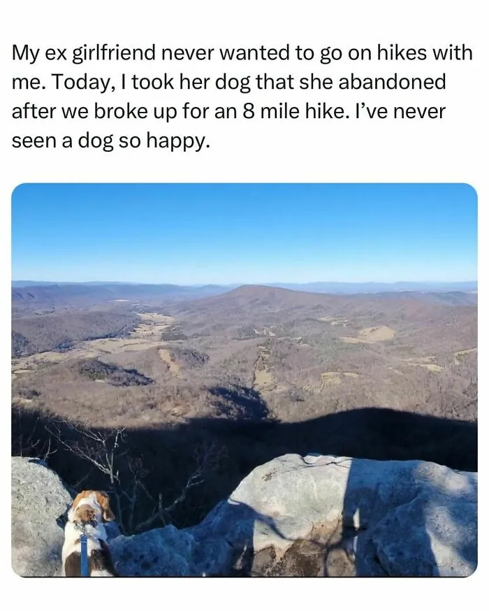 50 Funny And Relatable Posts That May Be The Most Entertaining To Men