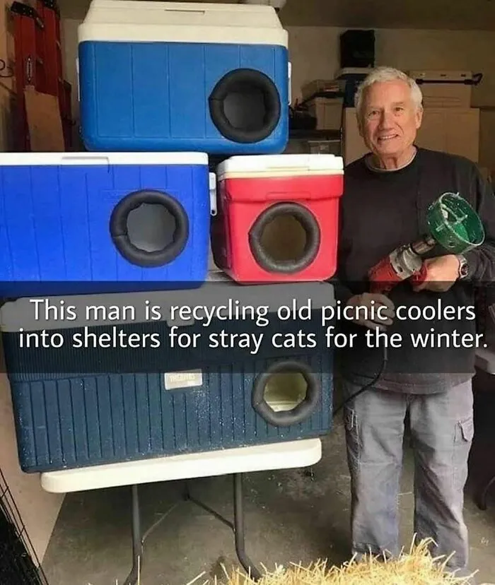 50 Wholesome Memes Shared By This Page To Brighten Up Your Day